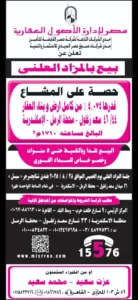 2025 10 29 at 1.04.19 am (1)