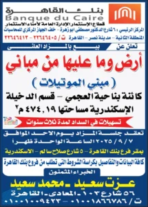 2025 10 29 at 1.04.19 am