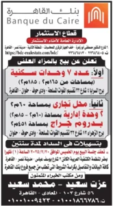 2025 10 29 at 2.02.22 am