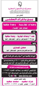 2025 10 29 at 2.03.10 am