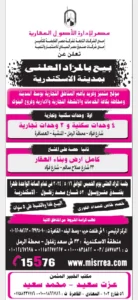 2025 10 29 at 2.03.12 am (3)