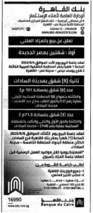 2025 10 29 at 2.03.16 am (2)