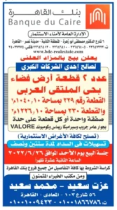 2025 10 29 at 2.03.18 am (2)